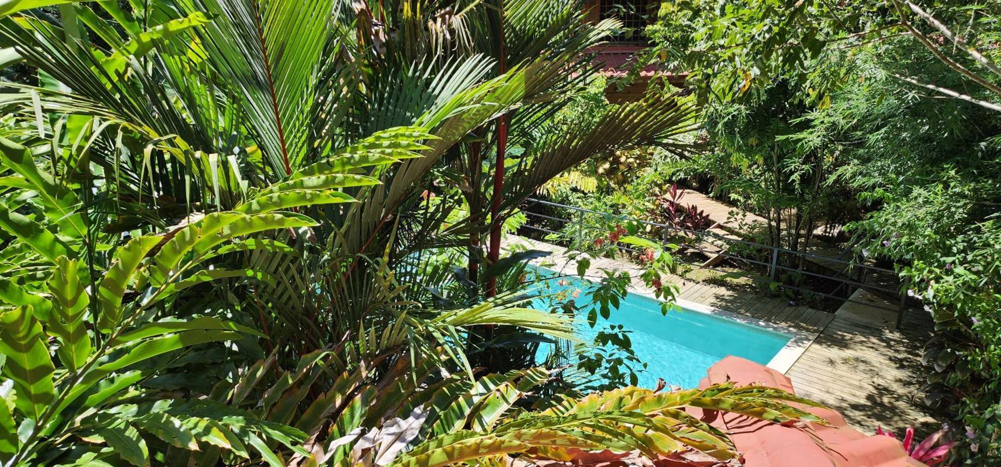 Boutique Hotel Y Spa Tangara Azul オホチャル エクステリア 写真